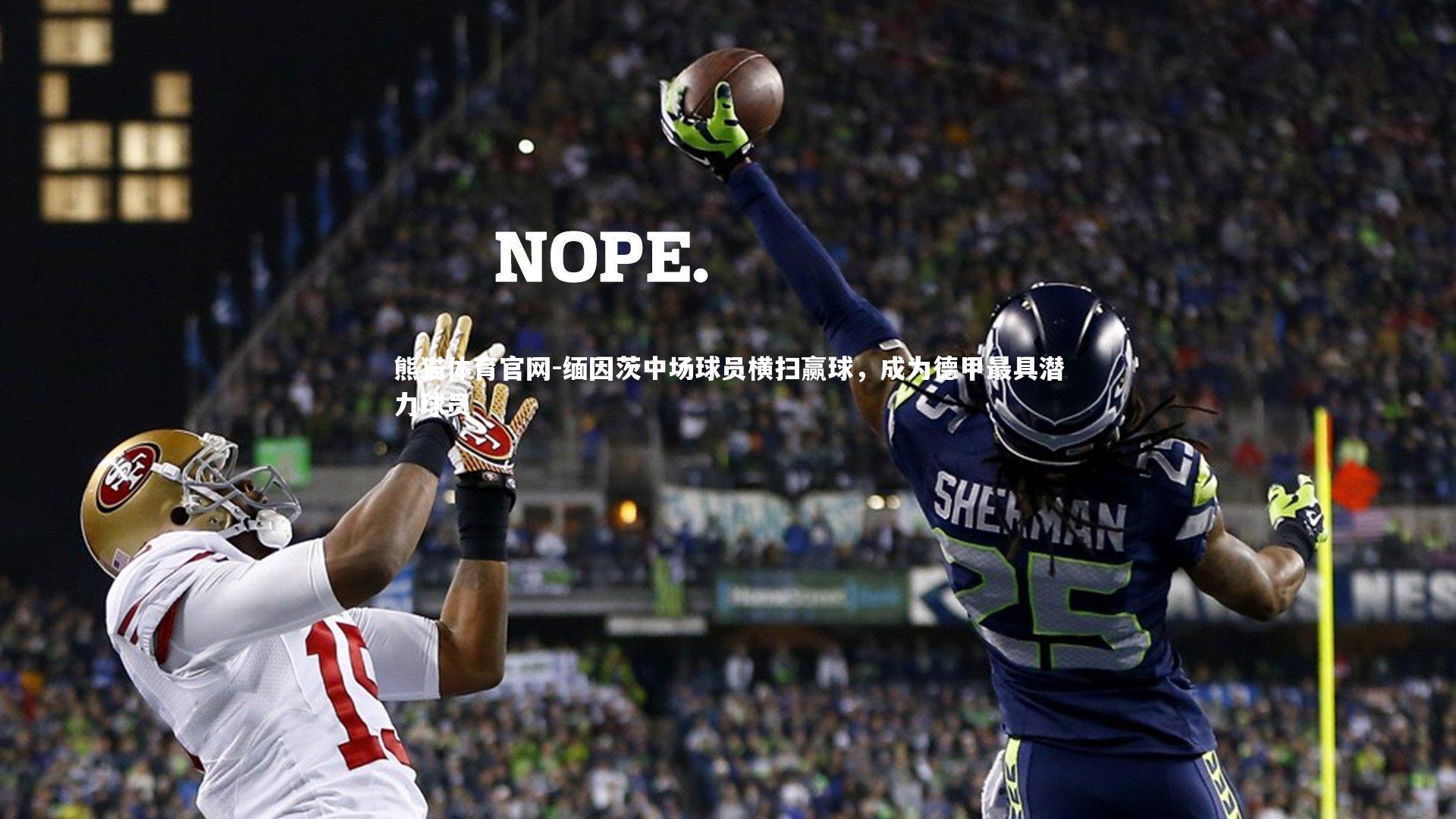 熊猫体育官网-缅因茨中场球员横扫赢球，成为德甲最具潜力球员