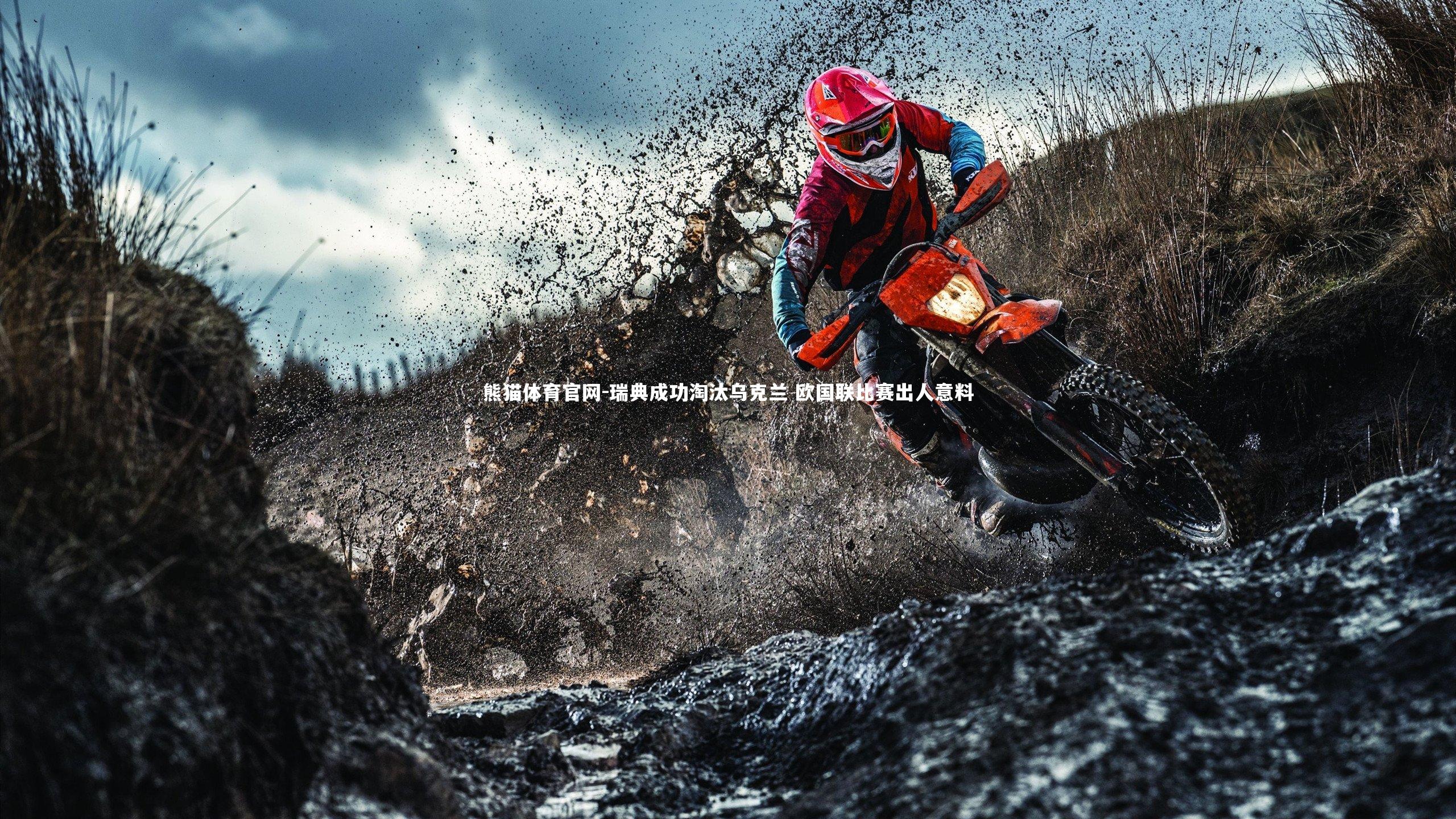 熊猫体育官网-瑞典成功淘汰乌克兰 欧国联比赛出人意料