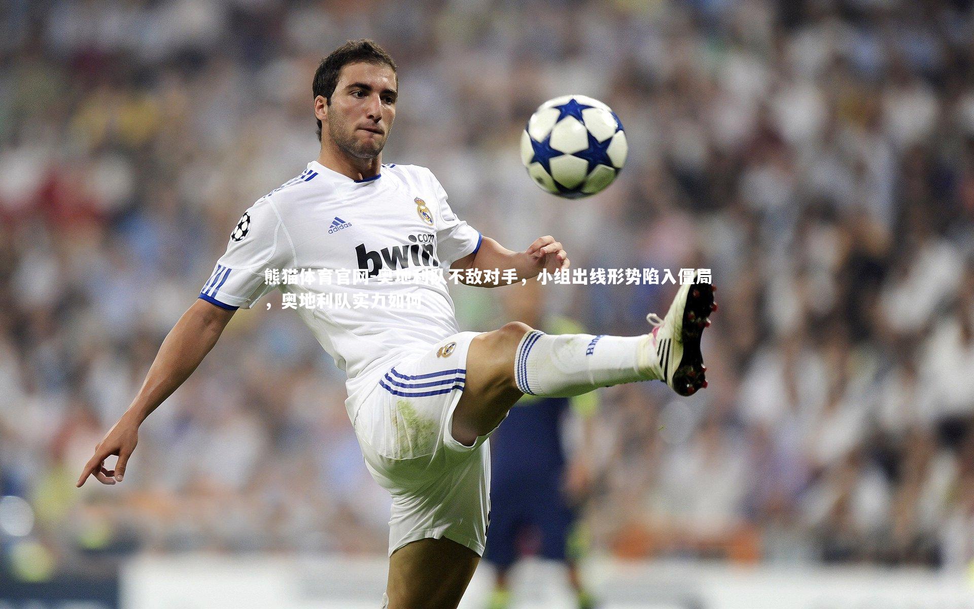 熊猫体育官网-奥地利队不敌对手，小组出线形势陷入僵局，奥地利队实力如何