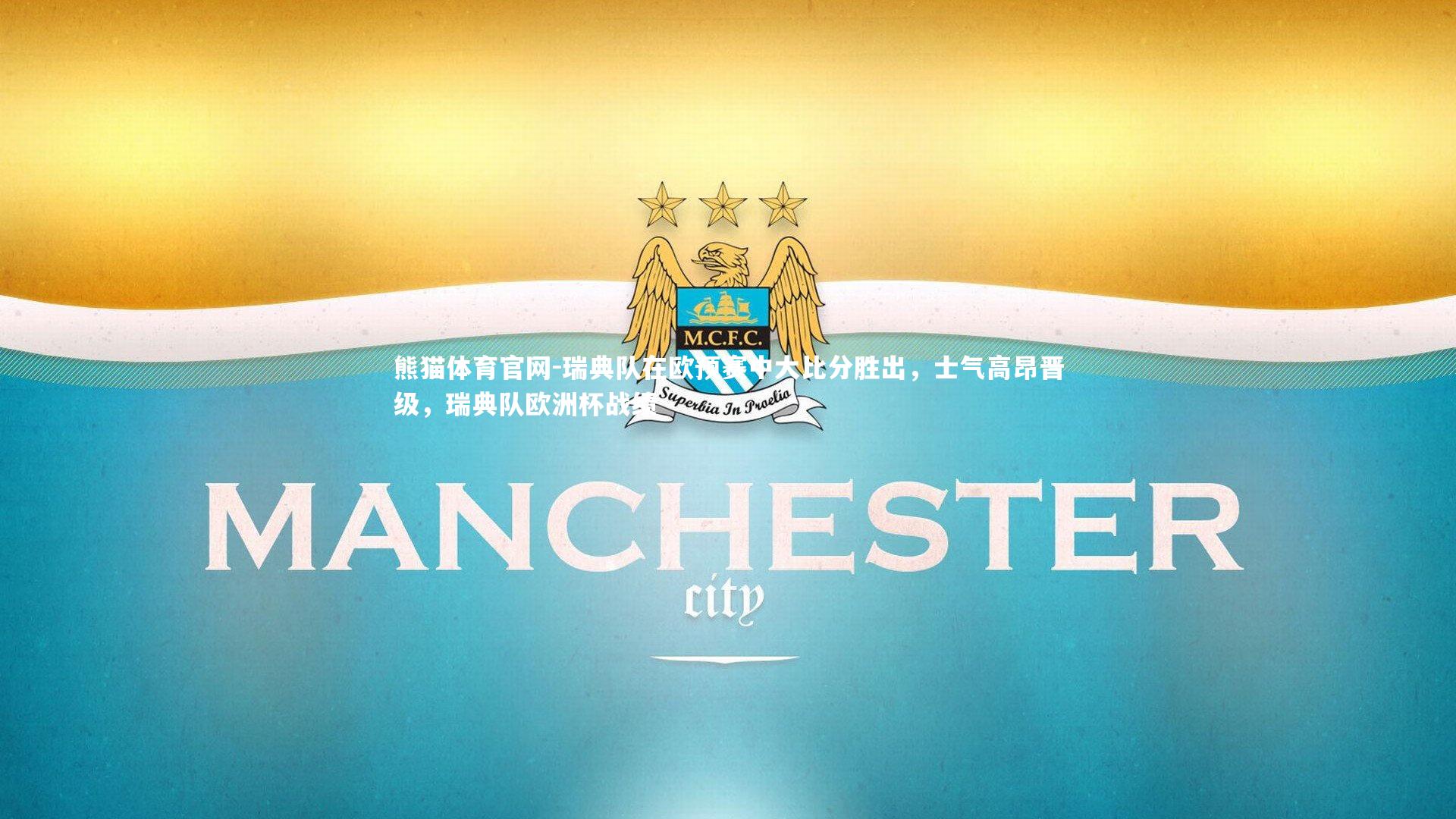 熊猫体育官网-瑞典队在欧预赛中大比分胜出，士气高昂晋级，瑞典队欧洲杯战绩