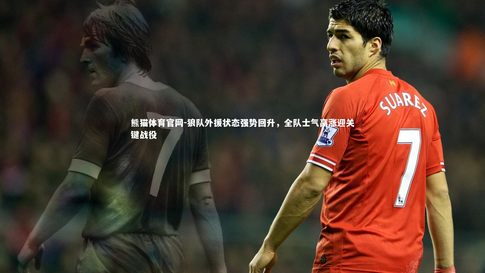 熊猫体育官网-狼队外援状态强势回升，全队士气高涨迎关键战役