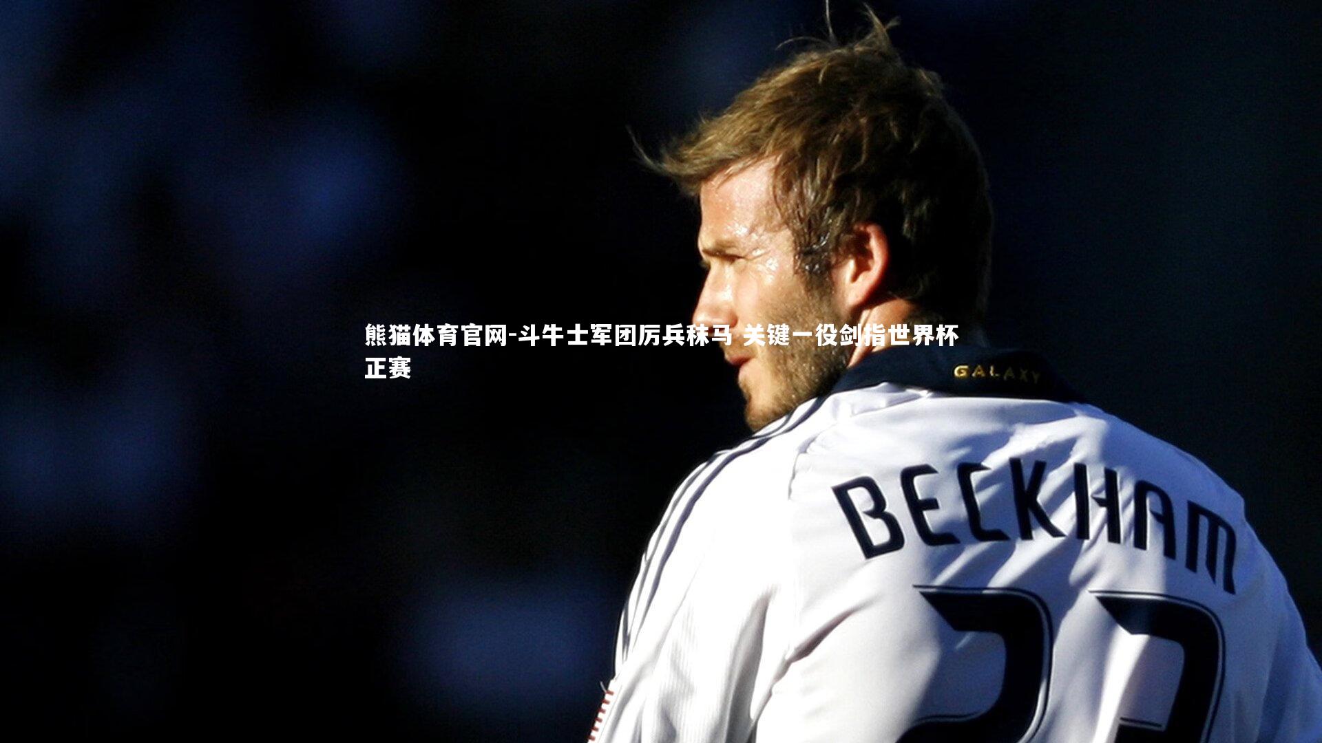 熊猫体育官网-斗牛士军团厉兵秣马 关键一役剑指世界杯正赛