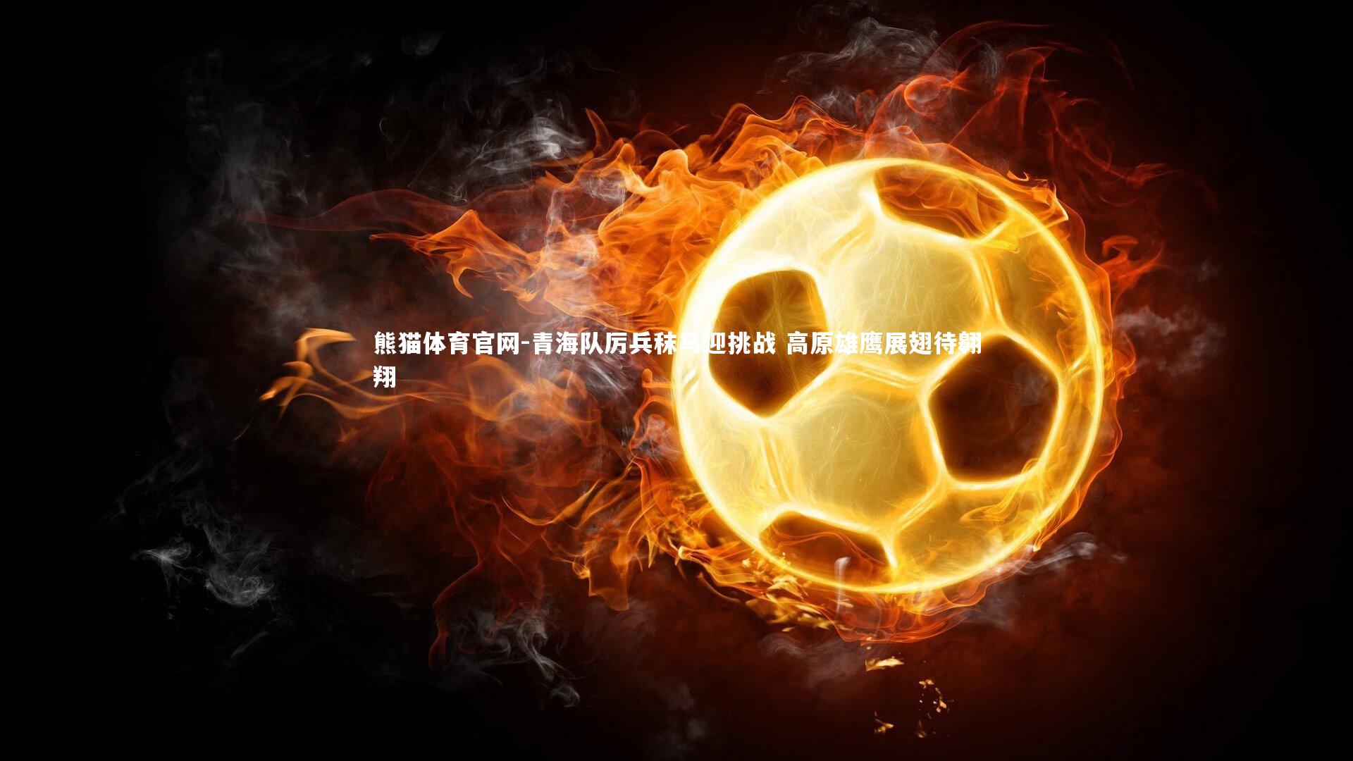 青海队厉兵秣马迎挑战 高原雄鹰展翅待翱翔