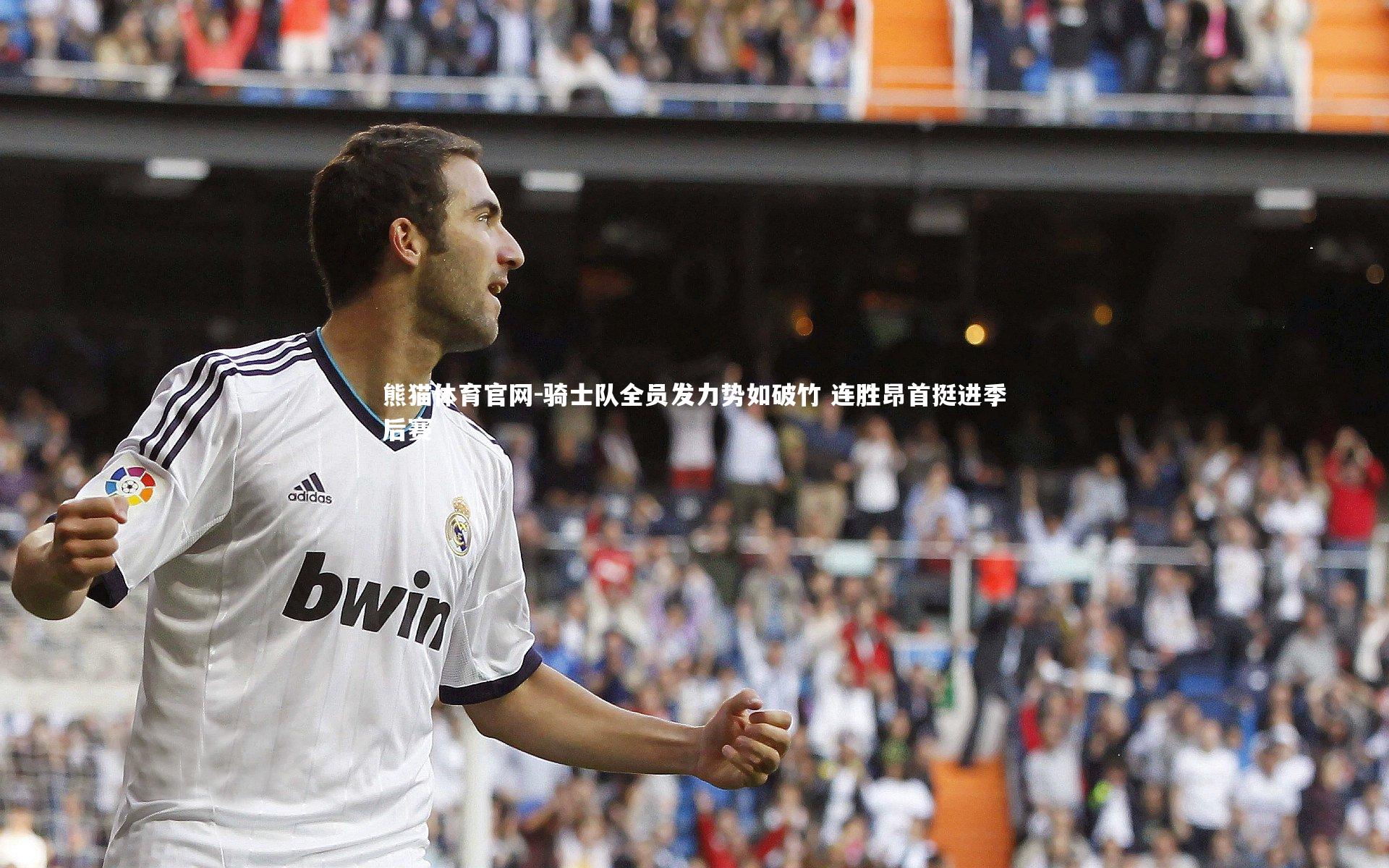 熊猫体育官网-骑士队全员发力势如破竹 连胜昂首挺进季后赛