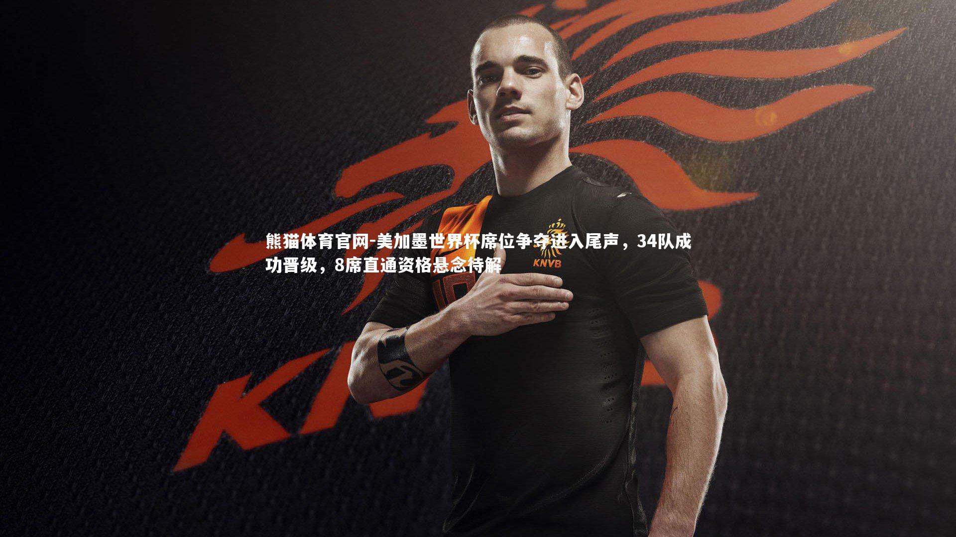 熊猫体育官网-美加墨世界杯席位争夺进入尾声，34队成功晋级，8席直通资格悬念待解